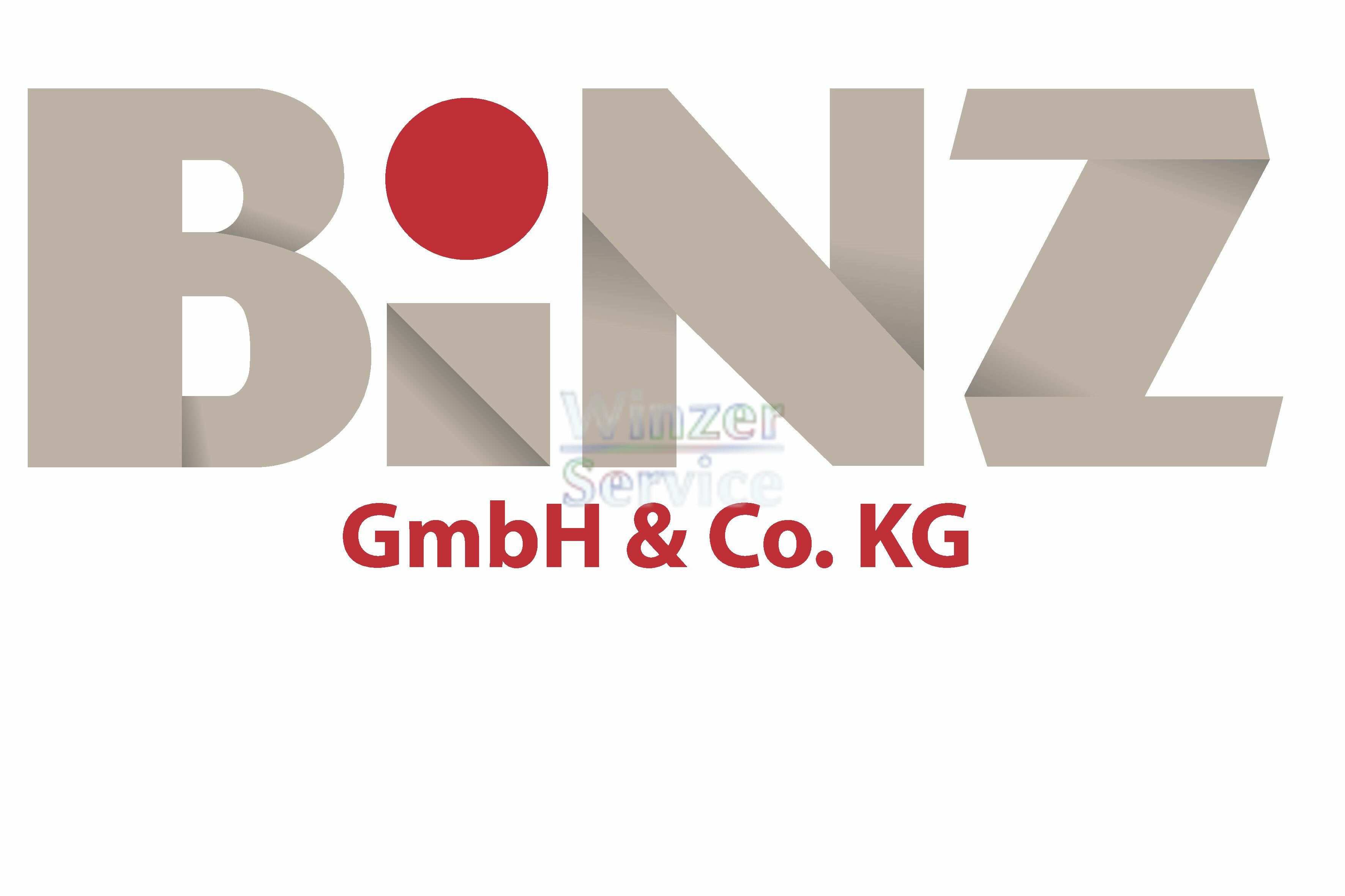 Binz GmbH & Co. KG